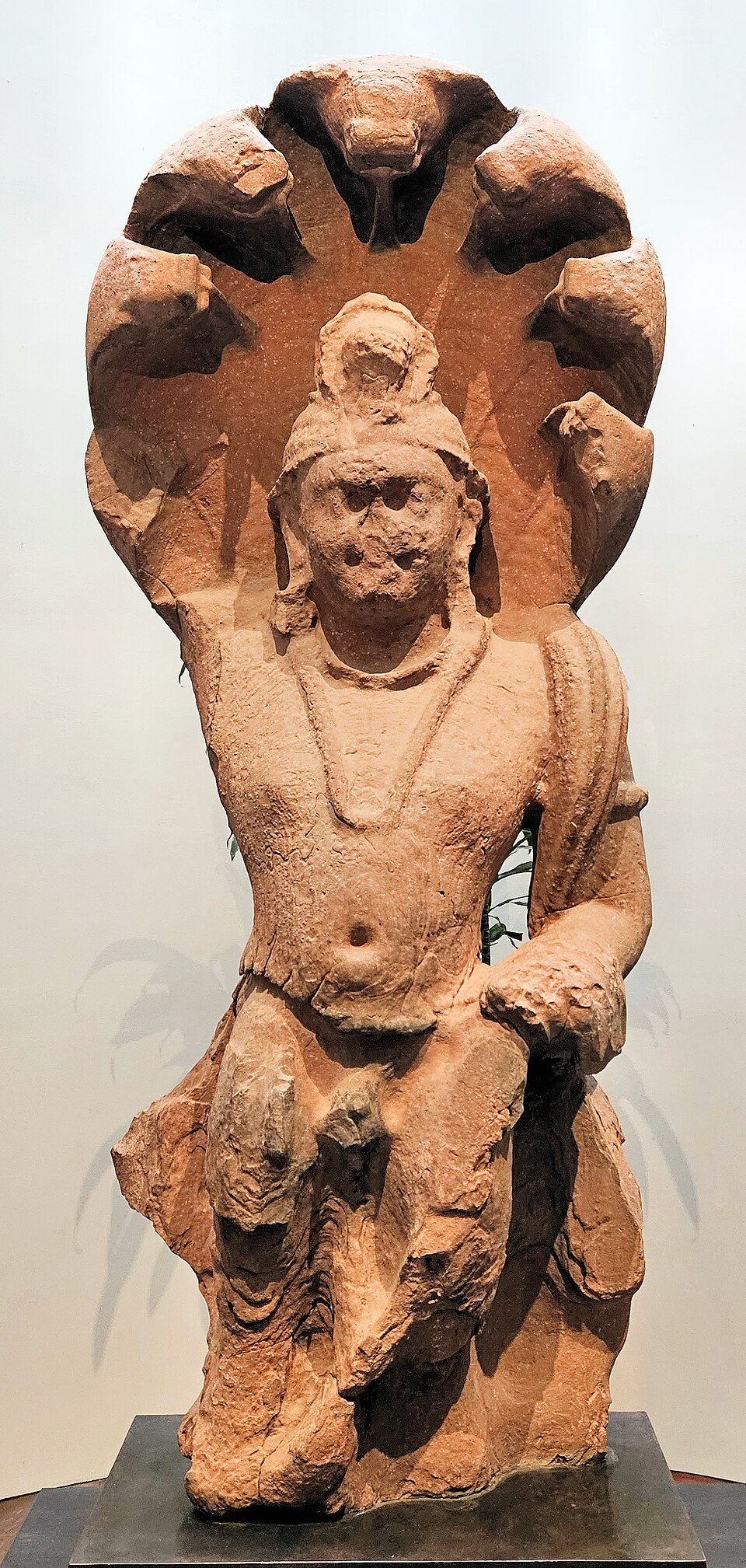 Kaal Sarp Dosh Shanti Puja